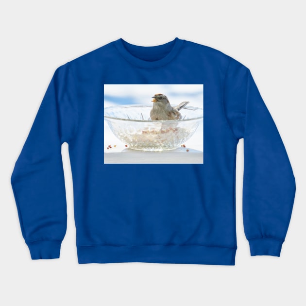 Seeds to Savour No.6 Sparrow Crewneck Sweatshirt by MaryLinH